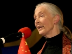 Jane Goodall